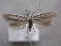  ( - MM26242)  @11 [ ] CreativeCommons - Attribution Non-Commercial (2019) Jukka Tabell University of Oulu