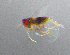  ( - Hm_B10)  @11 [ ] CreativeCommons Attribution Non-Commercial (by-nc)  Samuel Valdes Diaz Unspecified