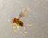  ( - Hh_B5)  @11 [ ] CreativeCommons Attribution Non-Commercial (by-nc)  Samuel Valdes Diaz Unspecified