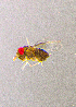  ( - Hh_B6)  @11 [ ] CreativeCommons Attribution Non-Commercial (by-nc)  Samuel Valdes Diaz Unspecified