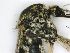  ( - PAVEA_D164)  @11 [ ] by-sa-CreativeCommons-Attribution Share-Alike  Unspecified Unspecified