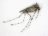  ( - PAVEA_D206)  @11 [ ] by-sa-CreativeCommons-Attribution Share-Alike  Unspecified Unspecified