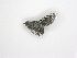  ( - PAVEA_D21)  @11 [ ] by-sa-CreativeCommons-Attribution Share-Alike  Unspecified Unspecified