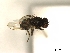  ( - PAVEA_PhGS1)  @11 [ ] by-sa - CreativeCommons - Attribution Share-Alike  Unspecified University of Veterinary Medicine, Vienna