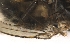  ( - PAVEA_PhGS1)  @11 [ ] by-sa - CreativeCommons - Attribution Share-Alike  Unspecified University of Veterinary Medicine, Vienna