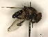  ( - PAVEA_PhGS1)  @11 [ ] by-sa - CreativeCommons - Attribution Share-Alike  Unspecified University of Veterinary Medicine, Vienna
