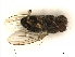  ( - PAVEA_PhGS1)  @11 [ ] by-sa - CreativeCommons - Attribution Share-Alike  Unspecified University of Veterinary Medicine, Vienna