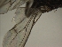  ( - PAVEA_PhGS2)  @11 [ ] by-sa - CreativeCommons - Attribution Share-Alike  Unspecified University of Veterinary Medicine, Vienna