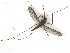  ( - PAVEA_I033)  @11 [ ] by-sa-CreativeCommons-Attribution Share-Alike  Unspecified Unspecified
