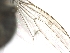  ( - PAVEA_PhOOe-C06)  @11 [ ] by-sa - CreativeCommons - Attribution Share-Alike  Unspecified University of Veterinary Medicine, Vienna
