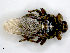 ( - PAVEA_PL1A)  @11 [ ] by-sa - CreativeCommons - Attribution Share-Alike  Unspecified University of Veterinary Medicine, Vienna