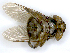  ( - PAVEA_PL2A)  @11 [ ] by-sa - CreativeCommons - Attribution Share-Alike  Unspecified University of Veterinary Medicine, Vienna