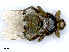  ( - PAVEA_PL3A)  @11 [ ] by-sa - CreativeCommons - Attribution Share-Alike  Unspecified University of Veterinary Medicine, Vienna