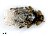 ( - PAVEA_PL4A)  @11 [ ] by-sa - CreativeCommons - Attribution Share-Alike  Unspecified University of Veterinary Medicine, Vienna