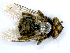  ( - PAVEA_PL5A)  @11 [ ] by-sa - CreativeCommons - Attribution Share-Alike  Unspecified University of Veterinary Medicine, Vienna