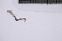  ( - CC00148)  @11 [ ] by-nc-sa (2024) Luis Martell University Museum of Bergen, Natural History Collections
