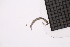  ( - CC00168)  @11 [ ] by-nc-sa (2024) Luis Martell University Museum of Bergen, Natural History Collections