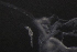  ( - PZ0132)  @11 [ ] by-nc-sa (2025) Luis Martell University Museum of Bergen, Natural History Collections