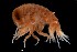  ( - PZ0419)  @11 [ ] by-nc-sa (2025) Luis Martell University Museum of Bergen, Natural History Collections