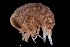  ( - PZ0420)  @11 [ ] by-nc-sa (2025) Luis Martell University Museum of Bergen, Natural History Collections
