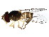  ( - BIOUG01202-G08)  @13 [ ] CreativeCommons - Attribution (2011) CBG Photography Group Centre for Biodiversity Genomics
