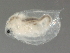  ( - BIOUG01204-H08)  @14 [ ] CreativeCommons - Attribution (2012) CBG Photography Group Centre for Biodiversity Genomics