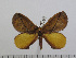  ( - BC-Basq 2820)  @13 [ ] Copyright (2011) Patrick Basquin Research Collection of Patrick Basquin