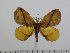  ( - BC-Basq 2821)  @13 [ ] Copyright (2011) Patrick Basquin Research Collection of Patrick Basquin