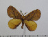  ( - BC-Basq 2822)  @12 [ ] Copyright (2011) Patrick Basquin Research Collection of Patrick Basquin