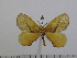  ( - BC-Basq 2823)  @13 [ ] Copyright (2011) Patrick Basquin Research Collection of Patrick Basquin