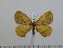  ( - BC-Basq 2827)  @12 [ ] Copyright (2011) Patrick Basquin Research Collection of Patrick Basquin