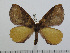  ( - BC-Basq 2828)  @13 [ ] Copyright (2011) Patrick Basquin Research Collection of Patrick Basquin