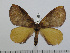  ( - BC-Basq 2830)  @13 [ ] Copyright (2011) Patrick Basquin Research Collection of Patrick Basquin
