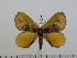  ( - BC-Basq 2832)  @13 [ ] Copyright (2011) Patrick Basquin Research Collection of Patrick Basquin