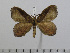  ( - BC-Basq 2888)  @13 [ ] Copyright (2011) Patrick Basquin Research Collection of Patrick Basquin