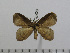  ( - BC-Basq 2889)  @13 [ ] Copyright (2011) Patrick Basquin Research Collection of Patrick Basquin
