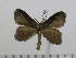  ( - BC-Basq 2892)  @13 [ ] Copyright (2011) Patrick Basquin Research Collection of Patrick Basquin