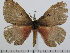  ( - BC-Basq 2959)  @14 [ ] Copyright (2011) Patrick Basquin Research Collection of Patrick Basquin