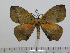  ( - BC-Basq 2978)  @13 [ ] Copyright (2011) Patrick Basquin Research Collection of Patrick Basquin