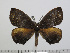  ( - BC-Basq 2990)  @13 [ ] Copyright (2011) Patrick Basquin Research Collection of Patrick Basquin