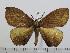  ( - BC-Basq 2993)  @13 [ ] Copyright (2011) Patrick Basquin Research Collection of Patrick Basquin