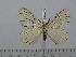  ( - BC-Basq 3004)  @11 [ ] Copyright (2011) Patrick Basquin Research Collection of Patrick Basquin