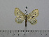  ( - BC-Basq 3007)  @12 [ ] Copyright (2011) Patrick Basquin Research Collection of Patrick Basquin