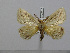  ( - BC-Basq 3010)  @13 [ ] Copyright (2011) Patrick Basquin Research Collection of Patrick Basquin