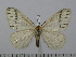  ( - BC-Basq 3016)  @14 [ ] Copyright (2011) Patrick Basquin Research Collection of Patrick Basquin