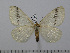  ( - BC-Basq 3017)  @14 [ ] Copyright (2011) Patrick Basquin Research Collection of Patrick Basquin