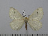  ( - BC-Basq 3019)  @13 [ ] Copyright (2011) Patrick Basquin Research Collection of Patrick Basquin