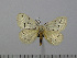  ( - BC-Basq 3021)  @12 [ ] Copyright (2011) Patrick Basquin Research Collection of Patrick Basquin