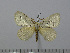  ( - BC-Basq 3022)  @13 [ ] Copyright (2011) Patrick Basquin Research Collection of Patrick Basquin