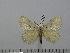  ( - BC-Basq 3023)  @12 [ ] Copyright (2011) Patrick Basquin Research Collection of Patrick Basquin